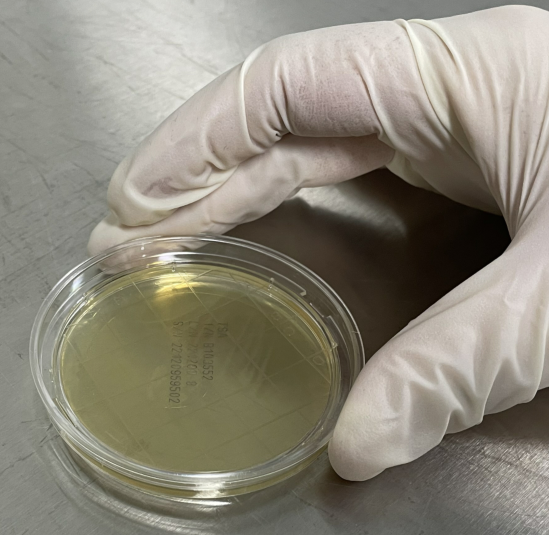 嬰配乳粉生產(chǎn)企業(yè)環(huán)境微生物監測（一）——表面微生物采樣