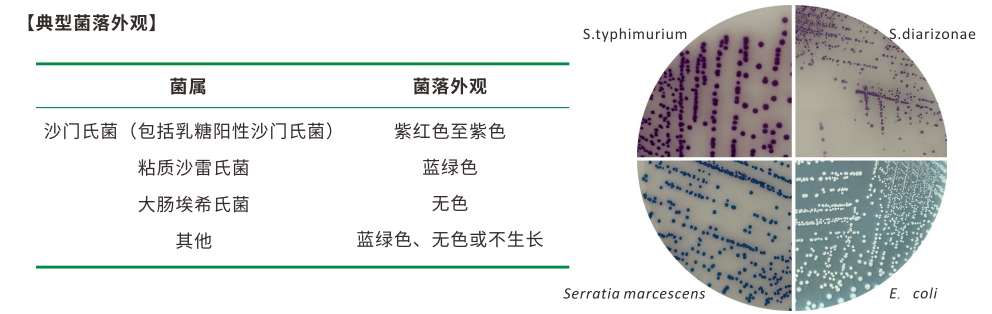 沙門(mén)檢測新助手—沙門(mén)氏+顯色培養基 沙門(mén)檢測新助手—沙門(mén)氏+顯色培養基
