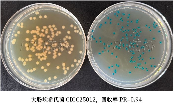 GB 4789.38-2025《食品安全國家標準 食品微生物學(xué)檢驗 大腸埃希氏菌計數》解讀 GB 4789.38-2025《食品安全國家標準 食品微生物學(xué)檢驗 大腸埃希氏菌計數》解讀