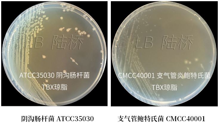 GB 4789.38-2025《食品安全國家標準 食品微生物學(xué)檢驗 大腸埃希氏菌計數》解讀 GB 4789.38-2025《食品安全國家標準 食品微生物學(xué)檢驗 大腸埃希氏菌計數》解讀