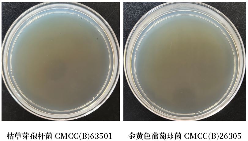 GB 4789.38-2025《食品安全國家標準 食品微生物學(xué)檢驗 大腸埃希氏菌計數》解讀 GB 4789.38-2025《食品安全國家標準 食品微生物學(xué)檢驗 大腸埃希氏菌計數》解讀