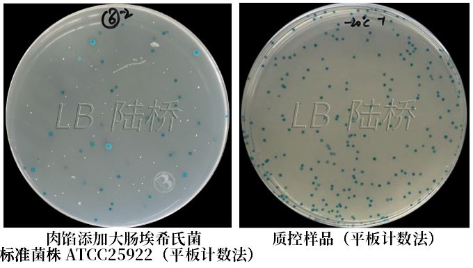 GB 4789.38-2025《食品安全國家標準 食品微生物學(xué)檢驗 大腸埃希氏菌計數》解讀 GB 4789.38-2025《食品安全國家標準 食品微生物學(xué)檢驗 大腸埃希氏菌計數》解讀