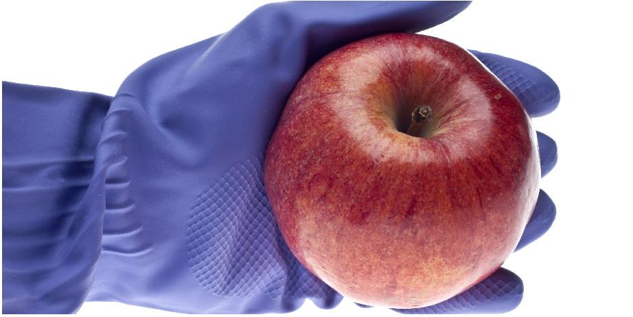 北京陸橋邀您參加2024 食品安全與檢測技術(shù)創(chuàng  )新論壇，共同探討GB4789.28-2024